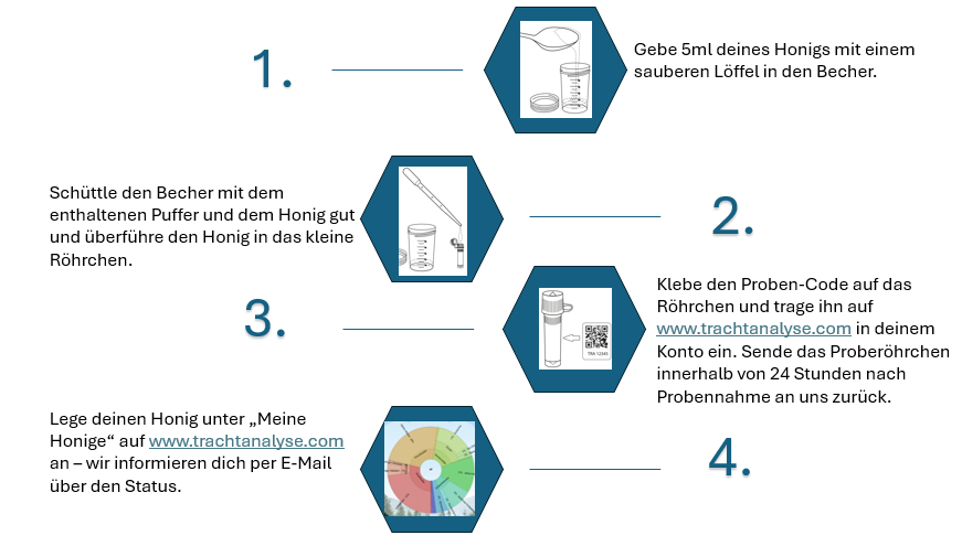 Anleitung_Probennhame_honig