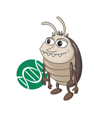 Bugy_Icon_klein