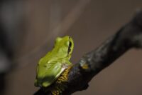 IMG_7878