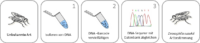 Piktogramm-DNA-Barcoding1