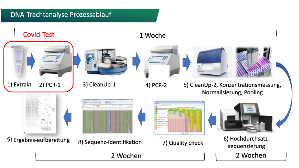 Prozess_Ablauf-1