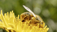 Sinsoma_4k_clean_edit.00_00_40_07.Standbild028