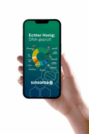 Sinsoma_Chrona-Chart-Handy_202506