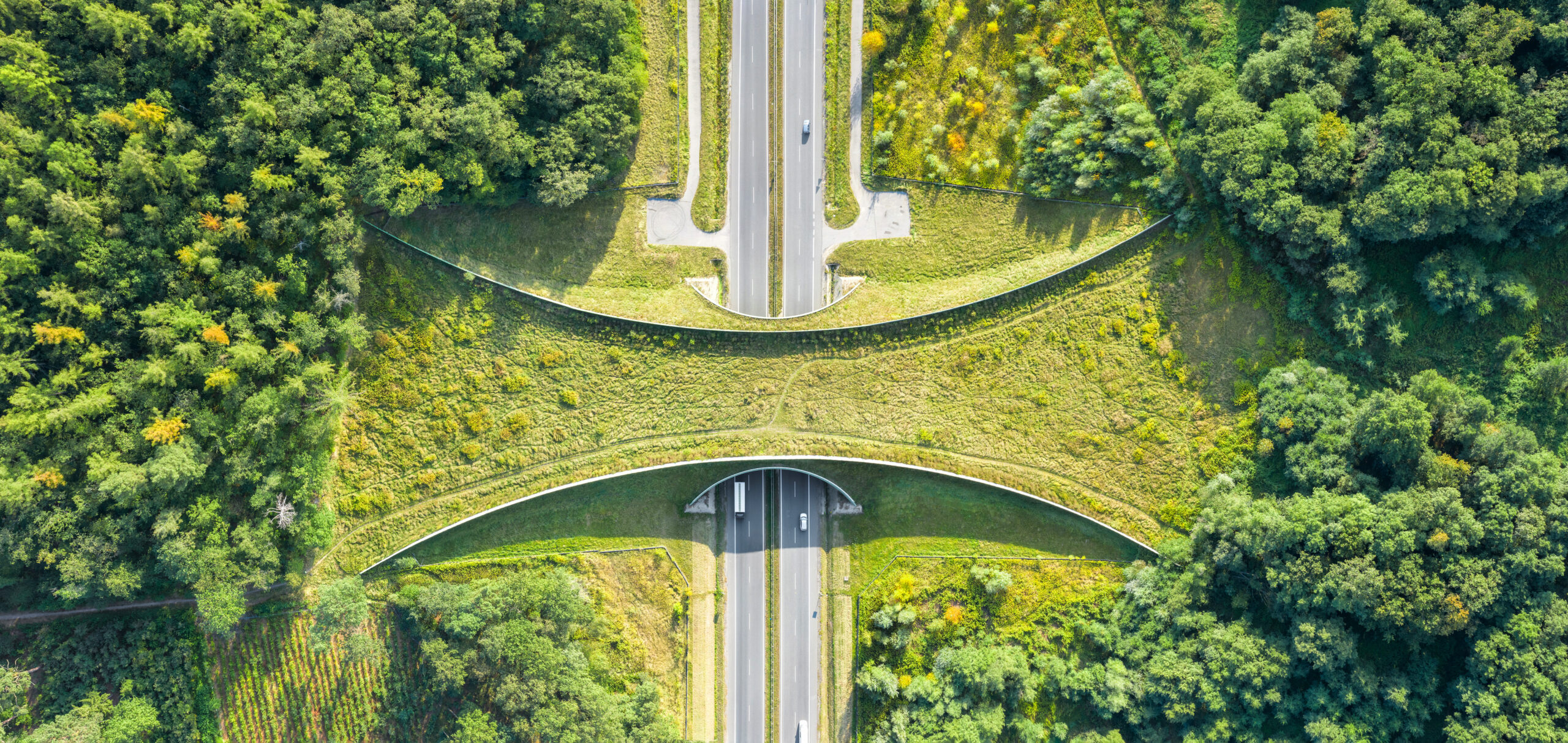 Aerial top down view of ecoduct or wildlife crossing