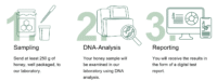 Anleitung_HoneyDNA_Schritte_EN