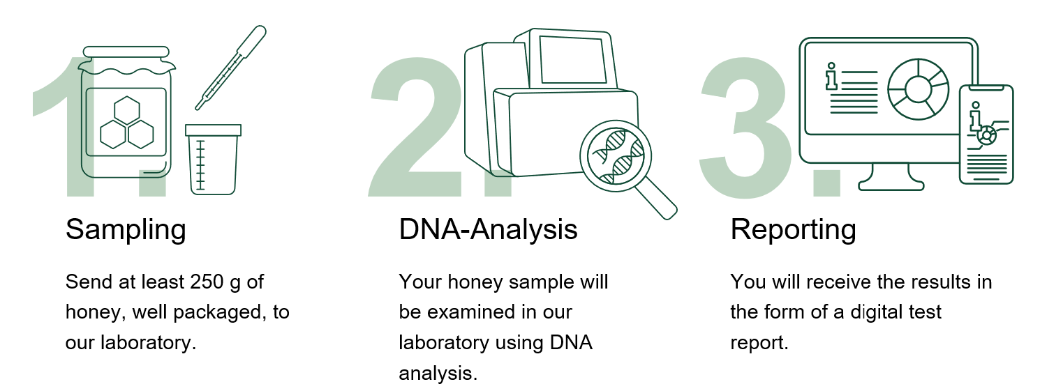 Anleitung_HoneyDNA_Schritte_EN
