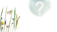 FAQ_Biod