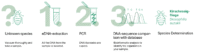 Sinsoma_Anleitungen_2025_DNA-basierte Artidentifikation_EN