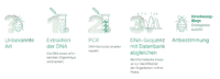 Sinsoma_Anleitungen_2025_DNA-basierte Artidentifikation_beschnitten