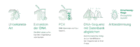 Sinsoma_Anleitungen_2025_DNA-basierte Artidentifikation_beschnitten