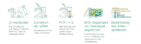 Sinsoma_Anleitungen_2025_Erhebung des Artenspektrums_beschnitten
