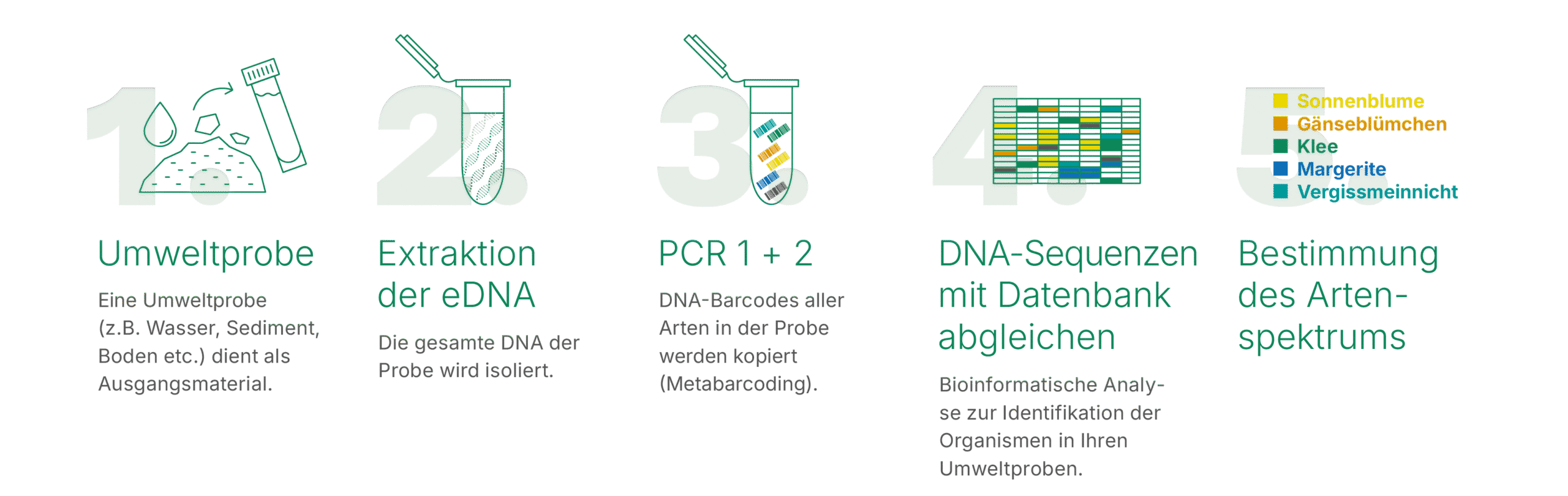 Sinsoma_Anleitungen_2025_Erhebung des Artenspektrums_beschnitten
