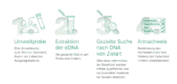 Sinsoma_Anleitungen_2025_gezielte Suche nach Arten_beschnitten