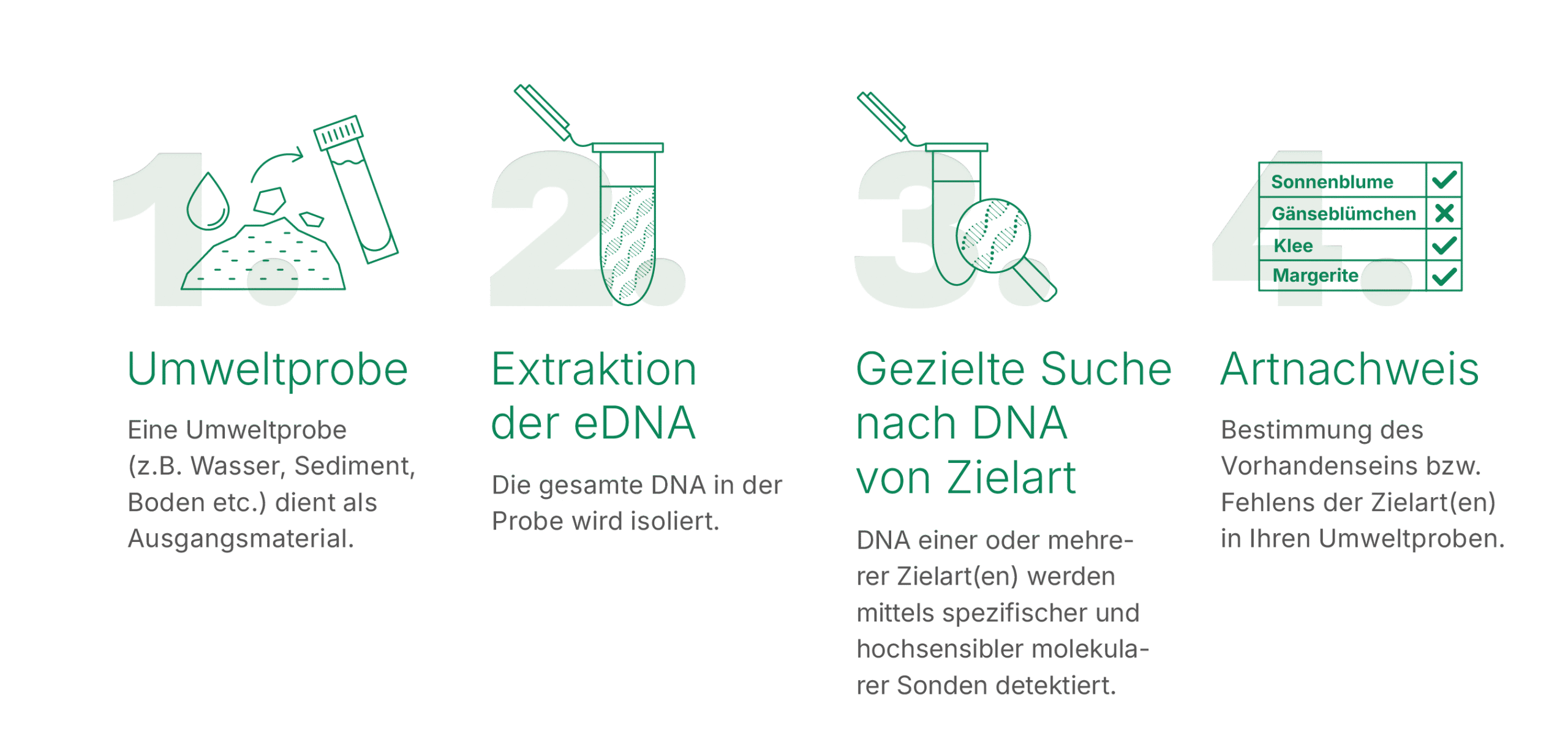 Sinsoma_Anleitungen_2025_gezielte Suche nach Arten_beschnitten