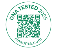 DNA_Siegel_Sinsoma